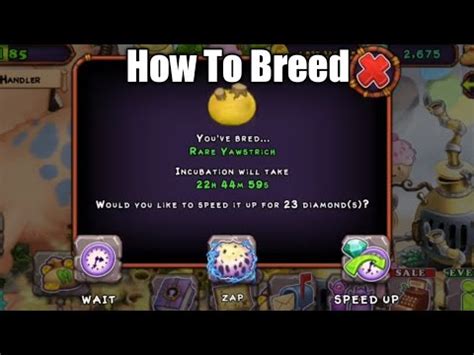 how to breed a yawstrich|yawstrich breeding combination.